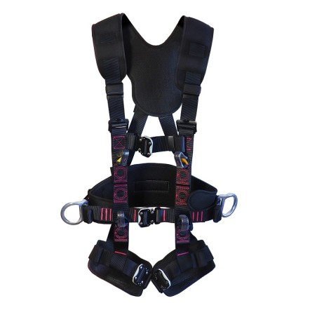 HARNESS WITH POSITIONING BELT